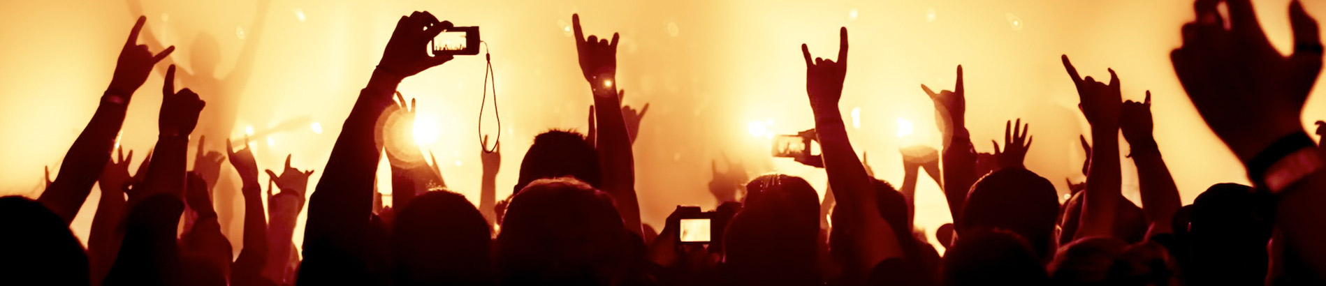 Hans de Wild concerts